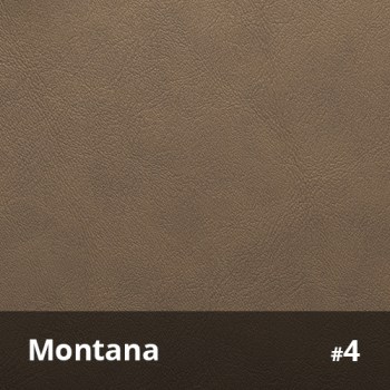Montana 4